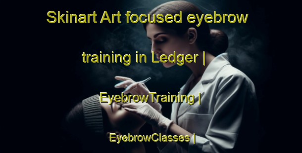 Skinart Art-focused eyebrow training in Ledger | EyebrowTraining | EyebrowClasses | SkinartTraining-United States